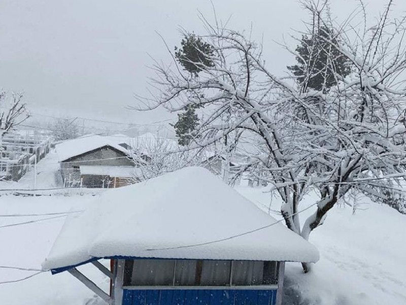 हुम्लाका उच्च भूभागमा हिमपात
